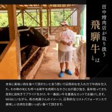 御中元 肉 ギフト【飛騨牛 カタログギフト 2万円コース】お肉 ギフト カタログ しゃぶ しゃぶしゃぶ すき焼き ステーキ肉 国産 高級 和牛 焼肉 ギフトボックス 牛肉 食べ物 グルメ 誕生日 プレゼント 飛騨牛ステーキ 黒毛和牛 ギフト券