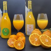 愛媛 エヒメエンゲージファーム 高糖度 柑橘ジュース セット 2種入 フルーツジュース 果汁飲料 ストレート ジュース 国産