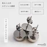ステンレス 12星座ピアス 暗くなると光る 蓄光 ワンポイントピアス スタッドピアス 可愛い 誕生月 シルバー 片耳1点 ゾディアック 星 スター 宇宙 天体 綺麗 キラキラ メンズ レディース 金属アレルギー対応 イヤリング 男性 女性
