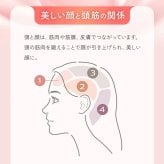 美顔器 EMS&RF リフトブラシボーテ EMS RF 頭皮ケア フェイスケア 全身ケア 防水 お風呂 バスタイム 赤色LED 光美容 顔 頭 デコルテ 二の腕 足 美容家電 女性 母 妻 誕生日 母の日 プレゼント 美容好き 実用的 ギフト