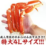 ギフト 海鮮 4Lサイズ ズワイガニ ボイル 3肩 約1.2kg 極寒の北の海で獲れたカニの女王ずわいがに 【かに/カニ/蟹/ズワイ蟹/ボイルズワイガニ/プレゼント/贈答/高級】