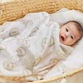 おくるみ スワドル 2枚セット 出産祝い aden+anais エイデンアンドアネイ ブラッシングバニーズ コットンモスリン ダブルガーゼ 大判 約112cm 新生児 退院 内祝い 出産内祝い 女の子 ギフト 専用ボックス入り ガーゼケット ブランケット 授乳ケープ おむつ替えシート 双子