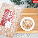 国産 もち麦 送料無料 190ｇ メール便 押し 人気 雑穀 ダイエット ヘルシー ポイント消化 スープ サラダ ごはん TVで話題沸騰  母の日