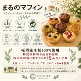 グルテンフリー ヴィーガンな米粉のお菓子11個セット(NEW01-11)米粉マフィン 米粉パン ギフト