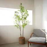 観葉植物 造花 アセビ BROWN 全高約210cm 大型 フェイクグリーン 高級 本物そっくり リアル おしゃれ 和風 和モダン インテリア 人工観葉植物 アーティフィシャルグリーン オフィス 店舗 ホテル 旅館 開店祝い 室内 リビング 玄関 風水 庭木 馬酔木