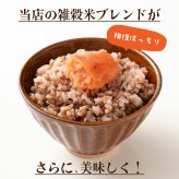 三重県産 コシヒカリ【内容量が選べる10kg~30kg】こしひかり 令和8年産 単一原料米 白米 精米 精白米 送料無料 精米工場からの直送品