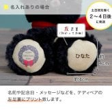 クリスマスプレゼント 彼女 彼氏 【2026年限定 クリスマスベア】  キーホルダー 名入れ 女性 友達 ぬいぐるみ 小さい マスコット お揃い 記念日 プチギフト 可愛い おしゃれ 恋人 マスコットキーホルダー キーチャーム キーチェーン 10代 20代 中学生 高校生 小学生 娘 孫 くま 女の子 男の子 誕生日プレゼント 記念品 26クリスマスブラン＆ノワール 77811