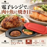 電子レンジ グリルプレート ダブル ツインプレート レシピ本付き 食洗機対応 乾燥機対応 レンジ調理 同時調理 蓋付き 焼き目 レンジグリルパン お弁当 朝食 おかず 時短 