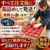 青森県産　りんご　ご家庭用　トキ　3ｋｇ　7〜15玉　送料無料！