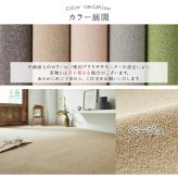 ラグ カーペット 日本 抗菌 消臭 清潔 オーダー 撥水 抗アレル物質 ダニ対策 無地 江戸間 8畳 約352×352cm