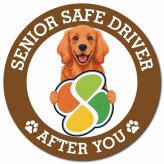 カーサイン 高齢者マーク SENIOR SAFE DRIVER アイリッシュセター マグネット 強力 直径13cm 肉球 日本製 車 ステッカー
