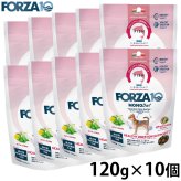 フォルツァ10 FORZA10 ドッグフード スペシャルケア アダルトミニ ヘルシーダイジェスチョン 120g×10個
