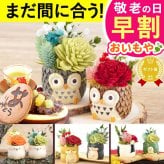 【早割 9/14 16時まで】 敬老の日 まだ間に合う 誕生日 プレゼント 花 ギフト プリザーブドフラワー アニマル 動物 ペア ミニ 小さい かわいい おしゃれ ふくろう 犬 猫 バラ 薔薇 一輪 セット どら焼き どらやき 送料無料 スイーツ お菓子 和菓子 ギフトセット 母 実母 自分の母 義母 妻 40代 50代 60代 70代 花セット 花とお菓子 おいもや 誕生日期間 翌日配送 不可