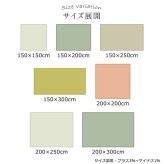 ラグ カーペット 日本 抗菌 消臭 清潔 オーダー 防炎 アレルキャッチャー 抗アレル物質 ダニ対策 シャギー 無地 約2.4畳 約150×250cm