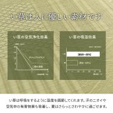 夏ラグ 夏用カーペット 上敷き い草カーペット 市松模様 和室 約174×261cm 江戸間3畳