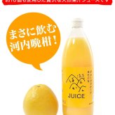 河内晩柑ジュース 200ml ギフト箱 愛媛県産【贅沢な果汁100％】送料無料