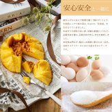 【完熟カステラケーキ】ギフト ハニープレーン味とチョコレート味の2種 卵たっぷり プリンのようなしっとりなめらか シフォンケーキ おいしい お菓子 ギフト デザート【送料無料※一部地域を除く】