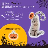 敬老の日 オリジナル アクリルキーホルダー 写真 グッズ うちの子 チャーム ギフト プレゼント 子ども 子供 孫 赤ちゃん ペット 犬 猫 母の日 父の日 誕生日 出産祝い 内祝い お祝い 記念日 メモリアル