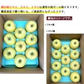 糖度12度保証 長野県産りんご シナノゴールド プレミアム ご贈答 果物 フルーツ お取り寄せ 産地直送 【送料無料(一部地域除く)】
