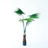 観葉植物 造花 シュロチク BROWN 全高約120cm 大型 フェイクグリーン 本物そっくり おしゃれ インテリア 人工観葉植物 アーティフィシャルグリーン オフィス 店舗 ホテル 開店祝い 室内 棕櫚竹 ヤシ フェイク