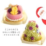 無添加 犬用おせち 全７品 ＋お好きなクリスマスケーキ お得なセット 