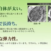 夏ラグ 夏用カーペット 純国産 イ草花ござカーペット 『扇』 江戸間8畳(約348×352cm)