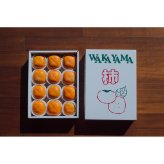 【OUTRET】和歌山のたねなし柿 12～15個入り　