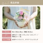 【選べるピック】誕生日アレンジメント 誕生日のお祝いにぴったりな 季節のアレンジメント そのまま飾れる バルーンフラワー 生花 花市場から直送 お祝い お誕生日 かわいい おしゃれ  子供 キッズ ギフト プレゼント 即日発送 手提げ付き メッセージカード無料