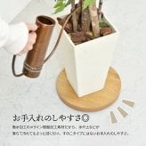 ラウンド プランターベース ONPT0106 W300×D300×H37mm キャスター付きプランター台 プランターバスケット プランターボックス プランタートレー 植木鉢 鉢 プランター置き 室内 リビング 事務所 オフィス 水やり キャスター付きトレー