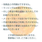 予約販売 いちかわの梨 幸水 3kg 7～10玉 千葉県市川産 梨 なし 和梨 果物 フルーツ ギフト お中元 暑中見舞い 残暑見舞い 贈答用 お供え 夏ギフト 旬の味覚 送料無料