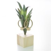 ハワイアンジュエリー フープピアス ピアス イエローゴールド ピアス 外径20mm クロッシングピアス プルメリア 透かし バレル 樽 大ぶり ゴールド 揺れる 片耳(1個)購入可 K14イエローゴールド 20G ゲージ BY THE SEA バイザシー プレゼント ハロウィン 【品番：GE231】