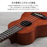 初心者でも始めやすい ウクレレ 12点セット 21インチ(ソプラノ)