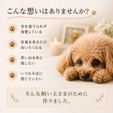 パグ 毛入りフォトフレーム ペットメモリアル 愛犬の毛 保存グッズ 肉球デザイン 写真立て 思い出の品 オーダーメイド ペットの遺毛 メモリアルグッズ 愛犬家 パグ好き 犬好き 短頭種 ペット供養 お別れ 追悼ギフト うちの子記念品 名前入り 日付入り 写真入り ペットロス 誕生日 記念日 母の日 父の日 敬老の日 クリスマス 家族の思い出 インテリア フォトスタンド 愛犬グッズ お悔やみ 贈答用