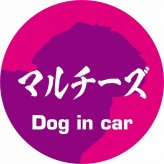 Dog in car ドッグインカー ステッカー カーステッカー マルチーズ 毛筆書体 ピンクパープル シール 煽り運転対策 カーサイン