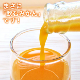 温州みかんジュース 200ml ギフト箱 愛媛県産【贅沢な果汁100％】送料無料