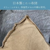 テーブル こたつ こたつ厚掛 掛 飛鳥 BE 205×205cm