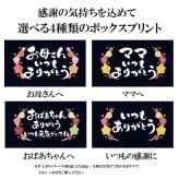 ワークマン メディヒール レディース 裏起毛 上下セット 裏毛スウェット 長袖クルーネック ロングパンツ リカバリーウェア 一般医療機器 モクグレー 4色3サイズ M L LL 19018 19019