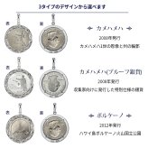 ハワイアンジュエリー ネックレス シルバー ネックレス 刻印 無料 誕生石入れ可 アメリカ 50州 25セント 記念硬貨 クォーターコイン プルーフ銀貨 ロジウム メダル シルバー925 チェーン ギフトBOX SP319 プレゼント ハロウィン 【品番：CG-SP306N】