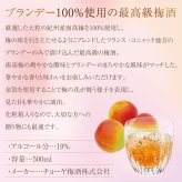 誕生日プレゼント お歳暮 お供え 驚愕の金粉量 【金箔入り 最高級梅酒】 チョーヤ 梅酒 ゴールドエディション 500ml 【化粧箱入り】蝶矢 CHOYA Gold Edition 出産 お祝い 内祝い お返し【包装済】  ※