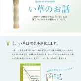 夏ラグ 夏用カーペット い草ラグ カーペット ラグ 6畳 はっ水 『撥水ラスター』 約240×320cm (中:ウレタン8mm）