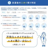 ピエクレックス マグちゃん 送料無料 80g マグネシウム 粒 洗濯 洗濯マグちゃん マグちゃん magchan 抗菌 植物由来 消臭 洗浄 除菌 すすぎ1回 界面活性剤ゼロ 洗濯補助 宮本製作所 アートナップ