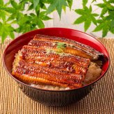 鹿児島県産 うなぎ 蒲焼 特大 200g 2尾 セット 国産 鰻 ウナギ 蒲焼き お取り寄せ グルメ ギフト プレゼント 食べ物 贅沢 冷凍 惣菜 魚介類 食品 父の日 母の日 敬老の日 土用の丑の日