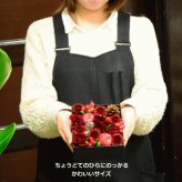 【ＡＲＮＯＸ】ＢＯＸフラワー　送料無料 即日発送 御祝いに生花のBOXフラワー 生花 敬老の日 フラワー ギフト 誕生日 結婚祝い お見舞 送別 新築祝い フラワーケーキ BOXフラワー BOXアレンジ ウエディング 御祝い 卒業 入学 出産 お供え 敬老の日 お中元 お歳暮