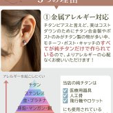 セカンドピアス チタン つけっぱなし 純チタン 丸玉 パール ツインボール 金属アレルギー 日本製 ポスト 軸太0.75mm 長さ10mm 全8色 全品1個ずつバラ売り 医療用 おすすめ かわいい シンプル 小さめ ミニ 極小 人気 プレゼント