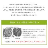 純国産 フリーーマット 『ことり』 約70×120cm (中材:固綿15mm)