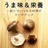 しいたけパウダー 130g×1袋 国産 [cocofukuシリーズ] 国産 無添加 しいたけ 椎茸 粉末 だし 出汁 離乳食 減塩 ビタミンD 旨味 ダイエット 干しいたけ 調味料 健康 コレステロール エリタデニン 食物繊維 カリウム 鉄分 葉酸 (omb10118)