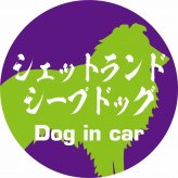 Dog in car ドッグインカー ステッカー カーステッカー シェットランドシープドッグ 毛筆書体 パープルグリーン シール 煽り運転対策 カーサイン