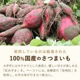 ＼早割！／ クリスマスケーキ クリスマスプレゼント 予約 2026 タルト モンブラン モンブランケーキ スイートポテト 大学芋 大学いも タルトケーキ Xmasケーキ 冷凍ケーキ お取り寄せ 5号 5人 6人 スイーツ お菓子 洋菓子 可愛い かわいい おしゃれ おいもや