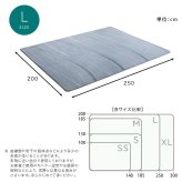 ラグ カーペット マイクロファイバー・デザイン マットLサイズ（200×250cm）洗える マット 【WASHFA2】 新生活