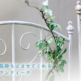 フェンス ブランティーク ホワイトアイアントレリスH147 4枚組 アンティーク モダン スタイリッシュ シンプル アイアンフェンス ファニチャーガーデン インテリア 家具 天然 おしゃれ カフェ 北欧 アーチ ベンチ スチール エクステリア 新生活